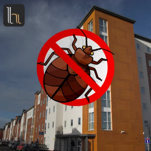 Bed Bugs Control 1 BHK